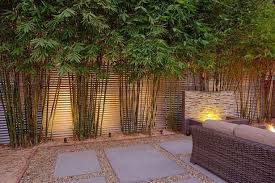 15 Unvergleichliche Hinterhof Garten Gemuse Gedanken Ideen Hinterhofgartengemusegedankeni Hinterhof Garten Landschaftsgestaltung Bambus Garten
