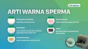 Cara merayu wanita agar mau diajak berhubungan intim. Warna Sperma Bisa Berbeda Apa Artinya Bagi Kesehatan