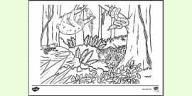 A great tropical rainforest animal resource for learning at home. Colouring Pages Of Tropical Rainforest Animals For Kids