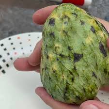 Image result for Annona reticulata