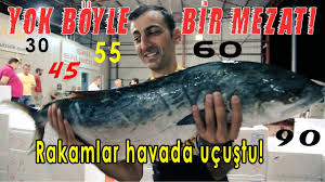 Antalya Balik Mezati Saglam Acik Arttirma Ihale Usulu Balik 2 Teker Bir Hikaye 43 Bolum Youtube