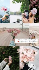 باستخدام البوربوينت على جهاز الكمبيوتر أو ماك أو الجهاز المحمول، يمكنك 63 ØµÙˆØ± ÙˆØ±ÙˆØ¯ Ideas Flowers Love Flowers Planting Flowers