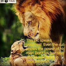 Find Your Purpose Discover Your Voice Lion Pictures Lion Tattoo Animals