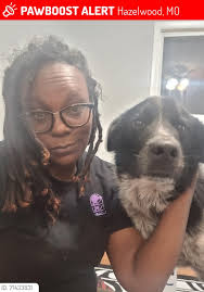 Black and white Aussie Shepherd running down Sw Heller St