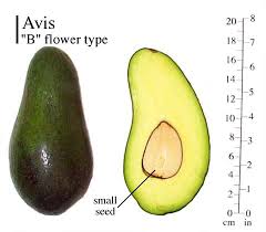 Image result for Dark Avocado 1983 Fedders