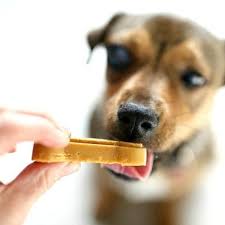 These healthy dog treats all come in at a fraction of the calorie count and cost of commercial diet dog treats! No Bake Dog Treats Delightful Mom Food