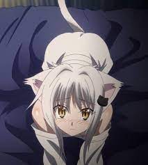 Toujou koneko