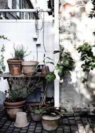 Line Klein Garten Inspo Pflanzen Garden Inspiration Planting Flowers Urban Garden