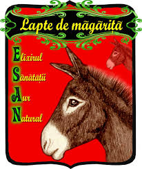 Last minute isla de margarita. Lapte De Magarita Esan Posts Facebook