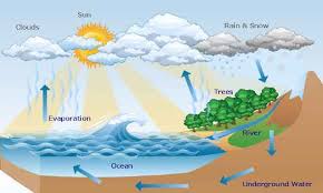 How Does The Water Cycle Work Explanation Education Enlightenment Water Cycle Water Cycle Project Water Cycle Diagram