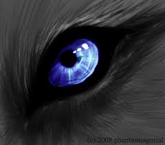 This discovery was made following genetic tests carried out on a skeleton found. Werewolf Eye By Shadowrider1232 On Deviantart