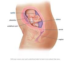 Pin On Preparing For Baby