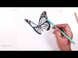 draw a butterfly learn to draw a butterfly step by step butterfly drawings learning