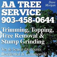 Dream image tree & landscape service is a company you can depend on. Boerne Tree Service Pros Home Facebook