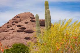 Whisper rock scottsdale az, single family homes, golf course properties, north scottsdale homes, whisper rock phil mickelson 36 hole design. Three To See In Papago Park Official Travel Site For Scottsdale Arizona