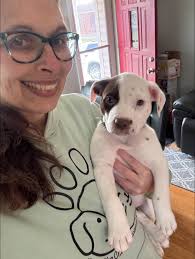 After a long 24 hours this little cutie is back in our rescue. At the  moment, we cannot give a lot of details as there is a criminal  investigation made against the