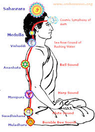 Created by paramahamsa hariharananda in 1861, kriya yoga does not focus on the physical disciplines of hatha yoga. Learn Kriya Yoga Meditation Sri Mahavatar Babaji Mission