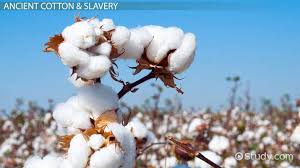 Cotton Textile Industry Information History Video Lesson Transcript Study Com