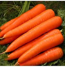 There are 2 ways you can do to choose carrot seedlings, which are making carrot seedlings themselves. Egrow 200pcs Bag Organic Carrot Seeds Garden Potted Nutritive Fresh Vegetable Plants Seed