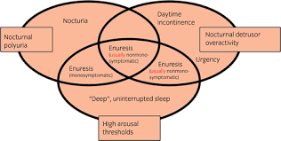 Image result for Enuresis