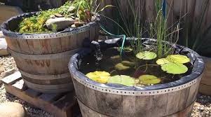 13 Peaceful Diy Container Water Garden Ideas For Container Gardeners Balcony Garden Web Watergarden Wine Barrel Garden Container Water Gardens Wine Barrel