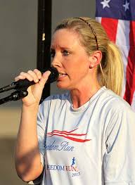 november 2013 dicta.p65