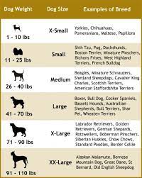 Choosing The Right Dog Leash For Your Dog Size And Type Dog Grooming Dog Grooming Salons Dog Breeds