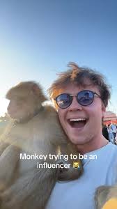 How to Make Influencer Monkey