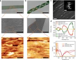 In recent years, inspired by the chiral opening of bauhinia variegata's seedpod and the coiling of plant's tendril, researchers have made significant breakthroughs in synthesizing helical structures mimicking chiral seedpod opening and tendril coiling. Macroscopic Helical Chirality And Self Motion Of Hierarchical Self Assemblies Induced By Enantiomeric Small Molecules Nature Communications