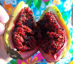 The wide, flat cactus pads (nopales) are used in many mexican main dishes such as salads, eggs and as a filling for other. The Red Juicy Inside Of A Saguaro Fruit Fruit Recipes Fruit Food