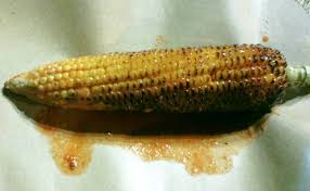 We did not find results for: Jagung Bakar Kaki Lima Rasa Bintang Lima Kuliner Wisata