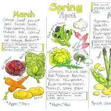 Seasonal Uk Fruit And Vegetable Chart Liz Cook Charts