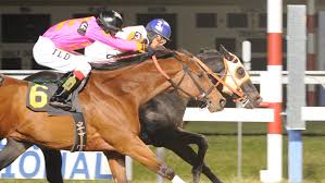 Penn national race course, grantville, pennsylvania. Live Horse Racing Hollywood Casino At Penn National Race Course