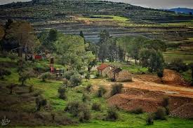 الريف الفلسطيني صورة من قرية المسعودية قرب سبسطية تصوير باسل الجبالي Photo Outdoor Water