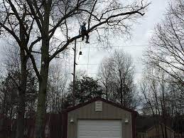 We can handle even the most difficult projects, big or small. Aftermath Tree Service Llc Home Facebook