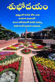 Today, on this beautiful morning we have come up with top 10 best good morning whats app status to share with your friends and family. Pin By Chandra Sekhar On Good Morning In Telugu Good Morning Beautiful Pictures Morning Quotes Images Good Morning Images