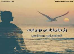 وش حيلتي لاجات في عيوني طيوف للكاتبة انين الرووح M سعودية مكتملة شبكة روايتي الثقافية