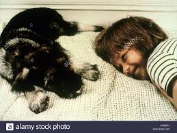 Astrid Lindgren Karlsson Auf Dem Dach Karlsson Pa Taket Schweden Stock Photo Alamy