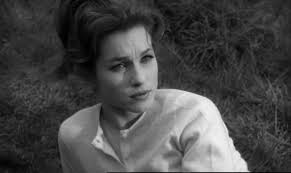 Dave Forrest (@DavidSForrest)