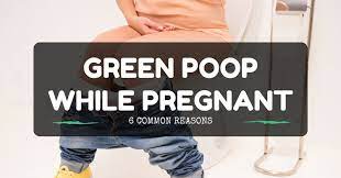 Green Poop While Pregnant 6 Common Reasons You Need To Know Kind Mommy