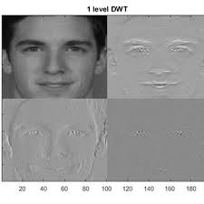 1. The concepts of the discrete wavelet transform. a) fundamental...