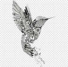 Hummingbird coloring book for adults: White And Black Floral Hummingbird Illustration Hummingbird Mehndi Tattoo Mandala Henna Bird Child Animals Png Pngegg