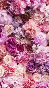 Flowers Wallpaper And Pink Image Flower Background Iphone Flower Phone Wallpaper Flower Backgrounds