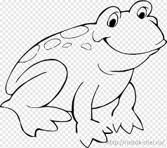 Check spelling or type a new query. Frog Coloring Page Png Images Pngwing