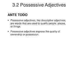 Because they are used to. Ppt Ante Todo Possessive Adjectives Like Descriptive Adjectives Are Words That Are Used To Qualify People Places Or Thin Powerpoint Presentation Id 742350
