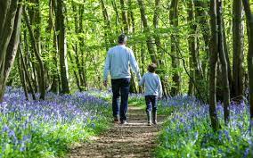 Fathers day in uk 2021: Father S Day 2021 Paganism Roses And How The Campaign To Celebrate Dads Was Won