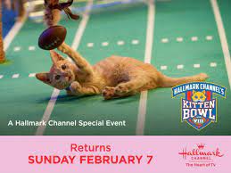 Join Us On February 7th To See The Fur Balls Fly As Our Cat Letes Compete For Your Affection In Kitten Bowl Viii Beth Ste In 2021 Kitten Bowls Hallmark Channel Kitten