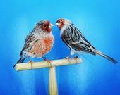 Agata Rojo Mosaico Birds Animals Bird