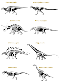 dinosaurs.afly.ru
