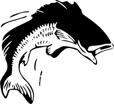 Download Svg Fish Fisherman Fin Reel Free Svg Image Icon Svg Silh